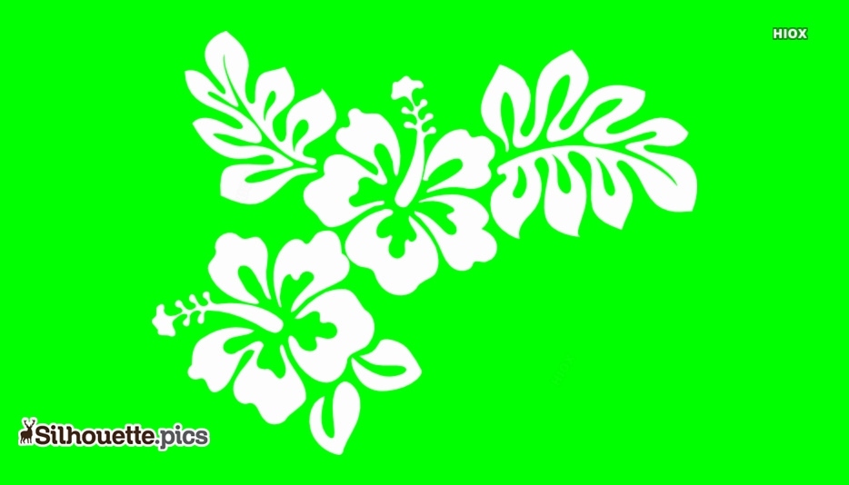 Detail Hibiskus Tattoo Nomer 15