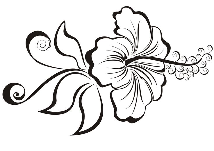 Detail Hibiskus Tattoo Nomer 3