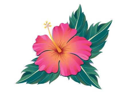 Detail Hibiskus Tattoo Nomer 7