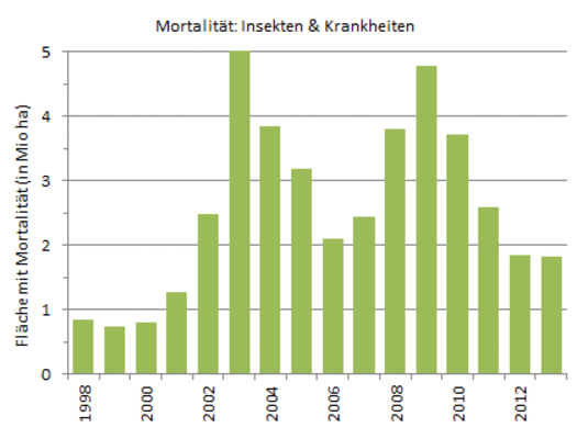 Detail Nadelbaum Krankheiten Nomer 16