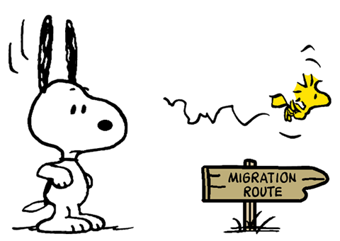 Peanuts Woodstock Flying - KibrisPDR