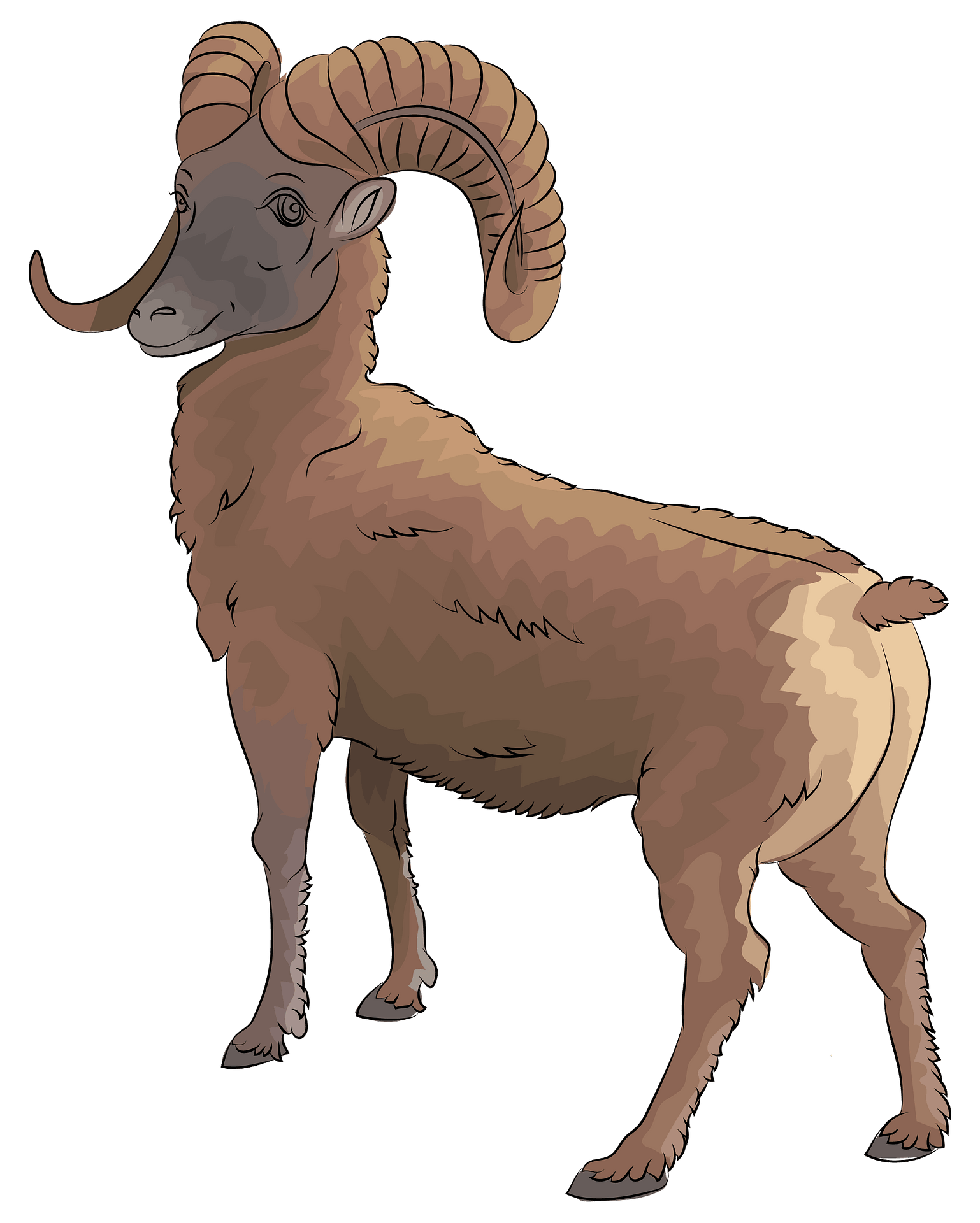 Detail Ram Sheep Images Nomer 9