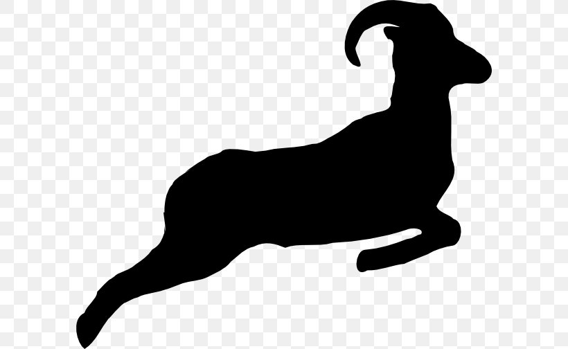 Detail Ram Sheep Images Nomer 12