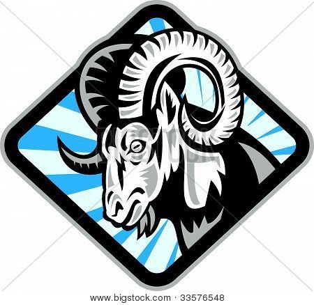 Detail Ram Sheep Images Nomer 13