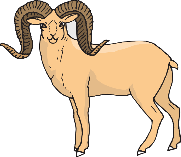 Detail Ram Sheep Images Nomer 14