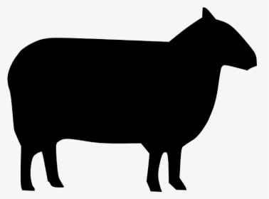 Detail Ram Sheep Images Nomer 15