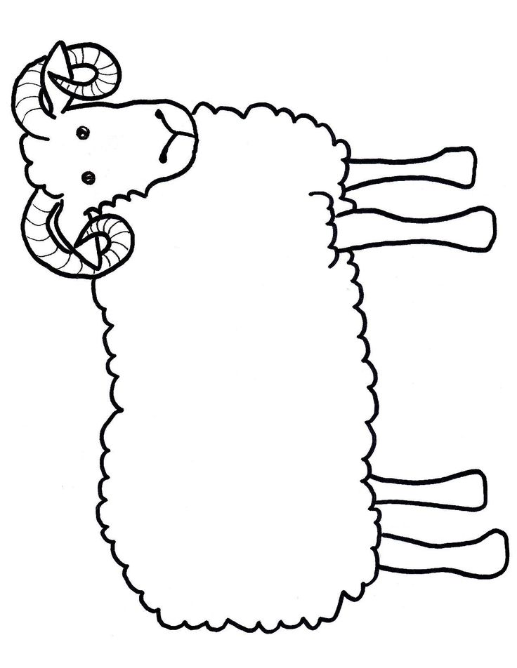 Detail Ram Sheep Images Nomer 20