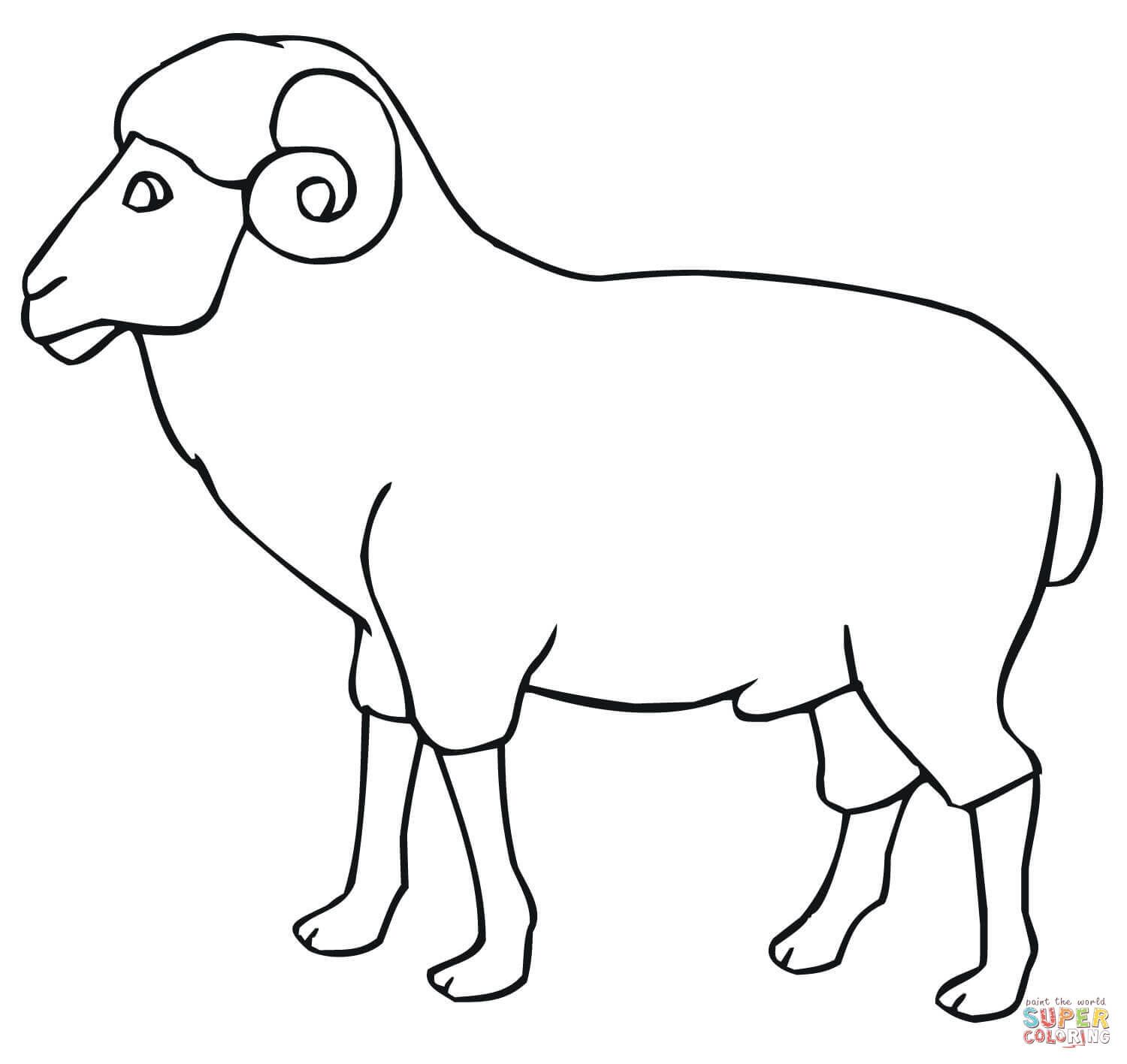 Detail Ram Sheep Images Nomer 21