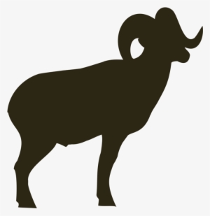 Detail Ram Sheep Images Nomer 23