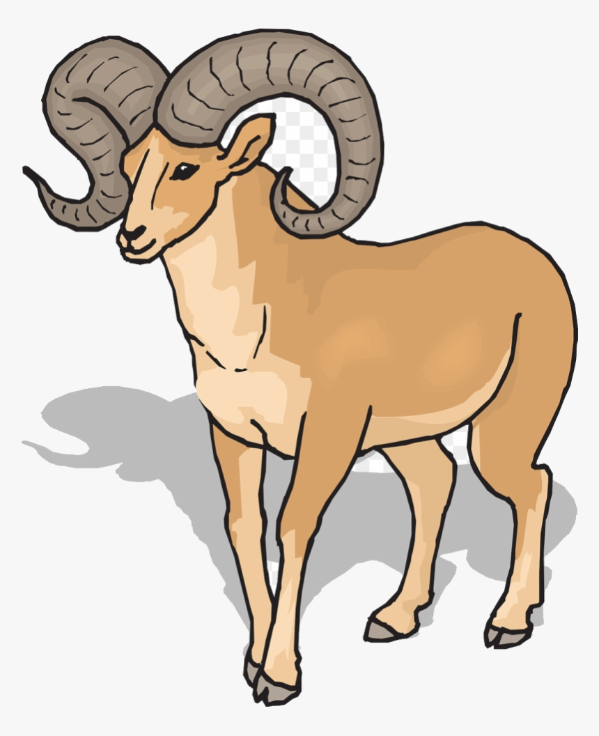Detail Ram Sheep Images Nomer 3
