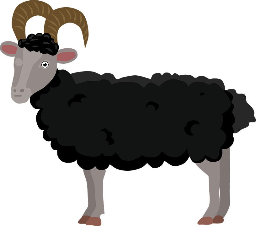 Detail Ram Sheep Images Nomer 6