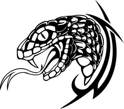 Detail Snake Head Tattoo Flash Nomer 22