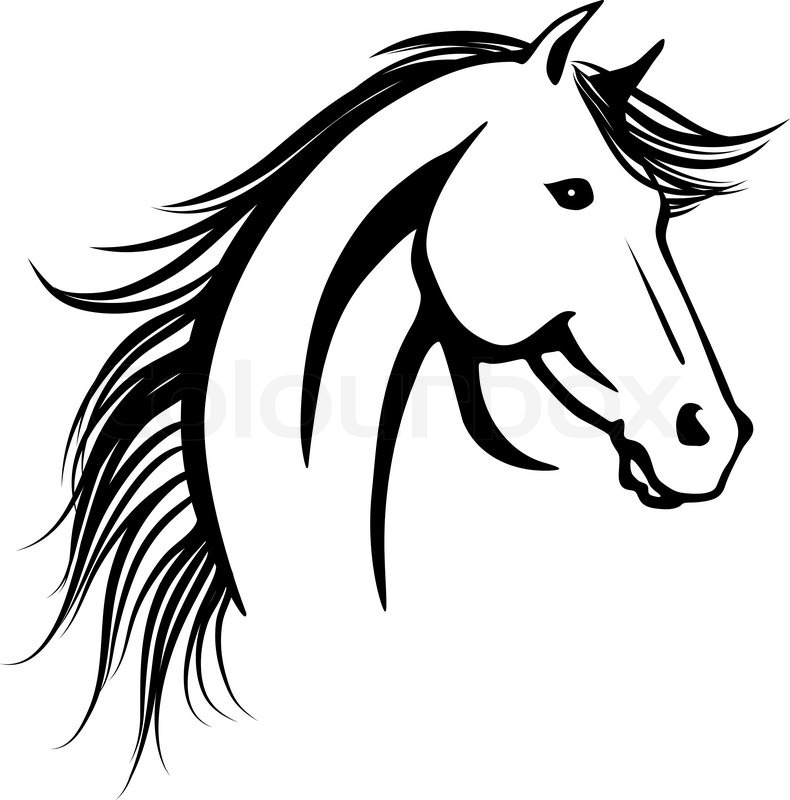 Detail Zeichnung Pferdekopf Nomer 8