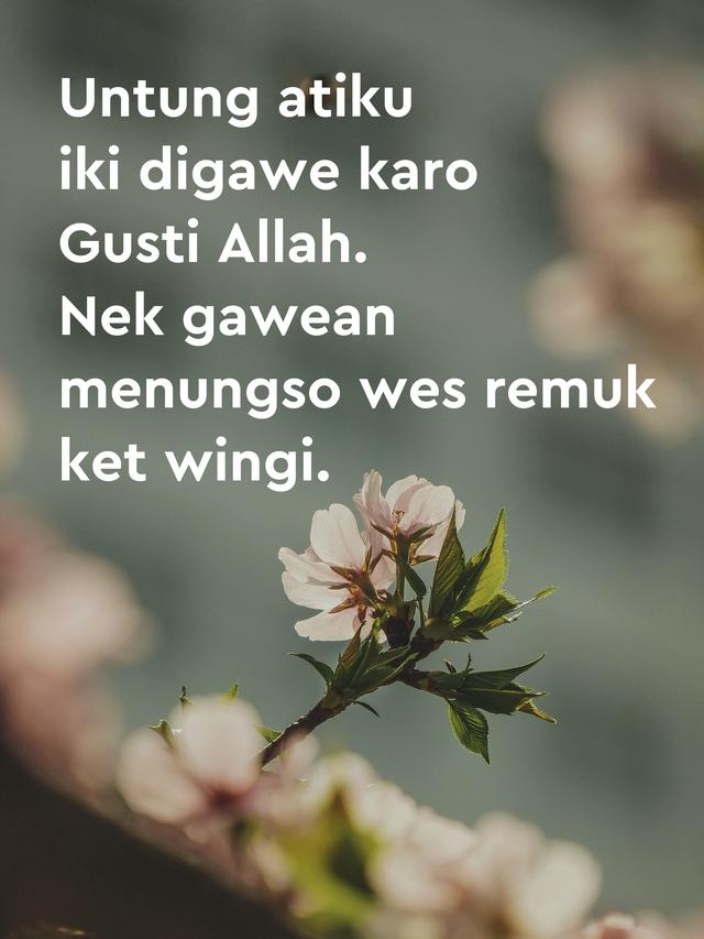 Gambar Kata Kata Bahasa Jawa - KibrisPDR