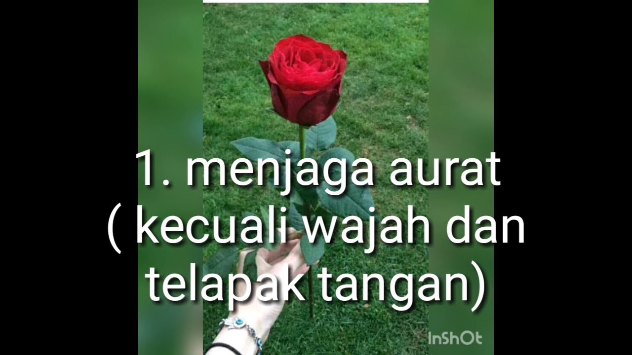 Detail Gambar Kata Kata Dari Bunga Mawar Nomer 31