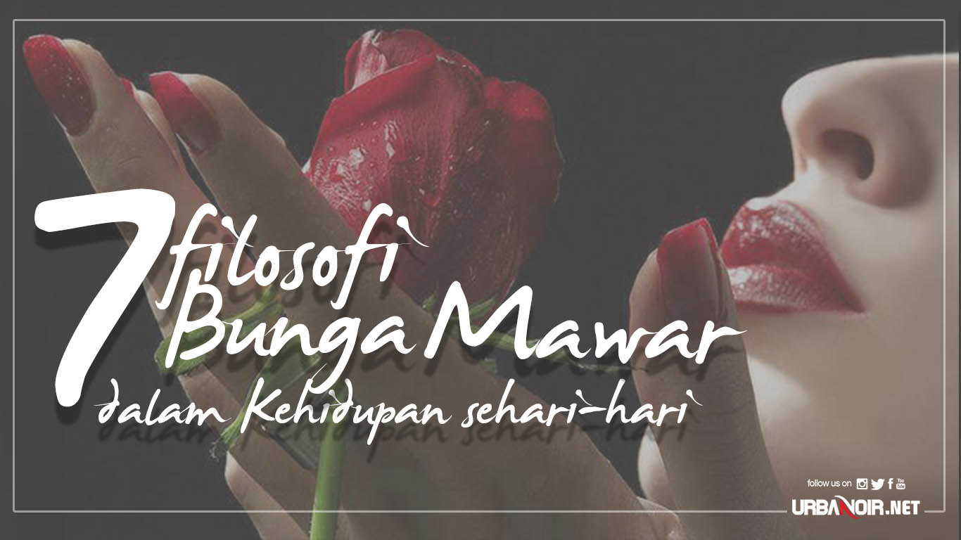 Detail Gambar Kata Kata Dari Bunga Mawar Nomer 32