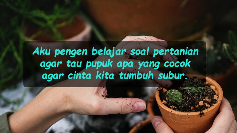 Detail Gambar Kata Kata Lucu Dan Romantis Nomer 51