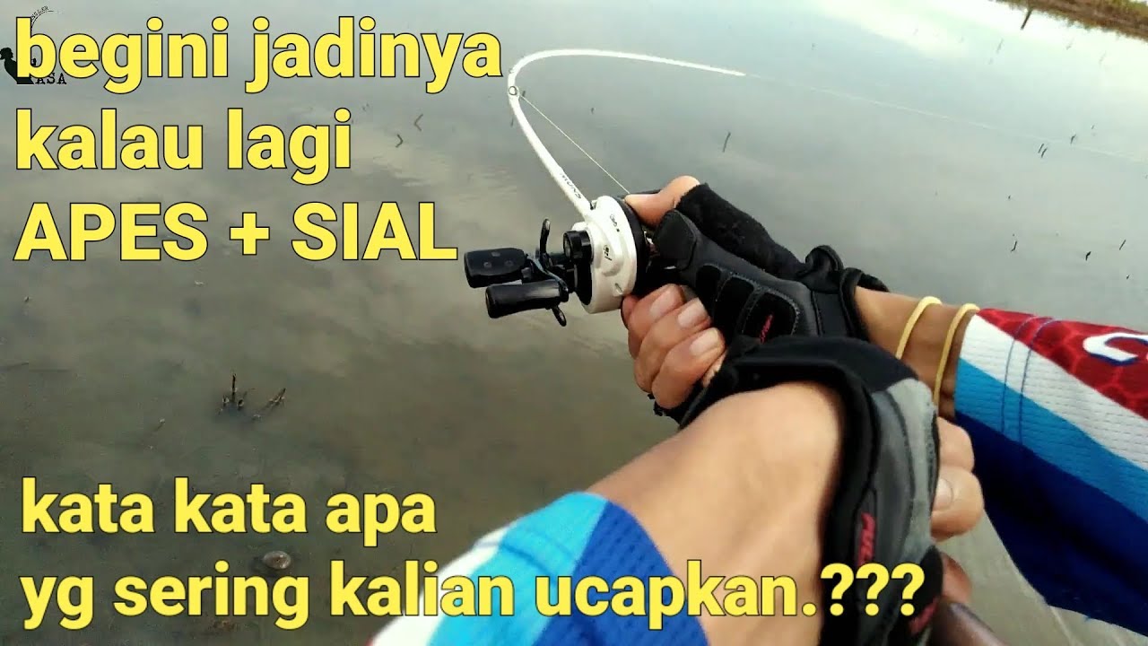 Detail Gambar Kata Kata Mancing Nomer 44