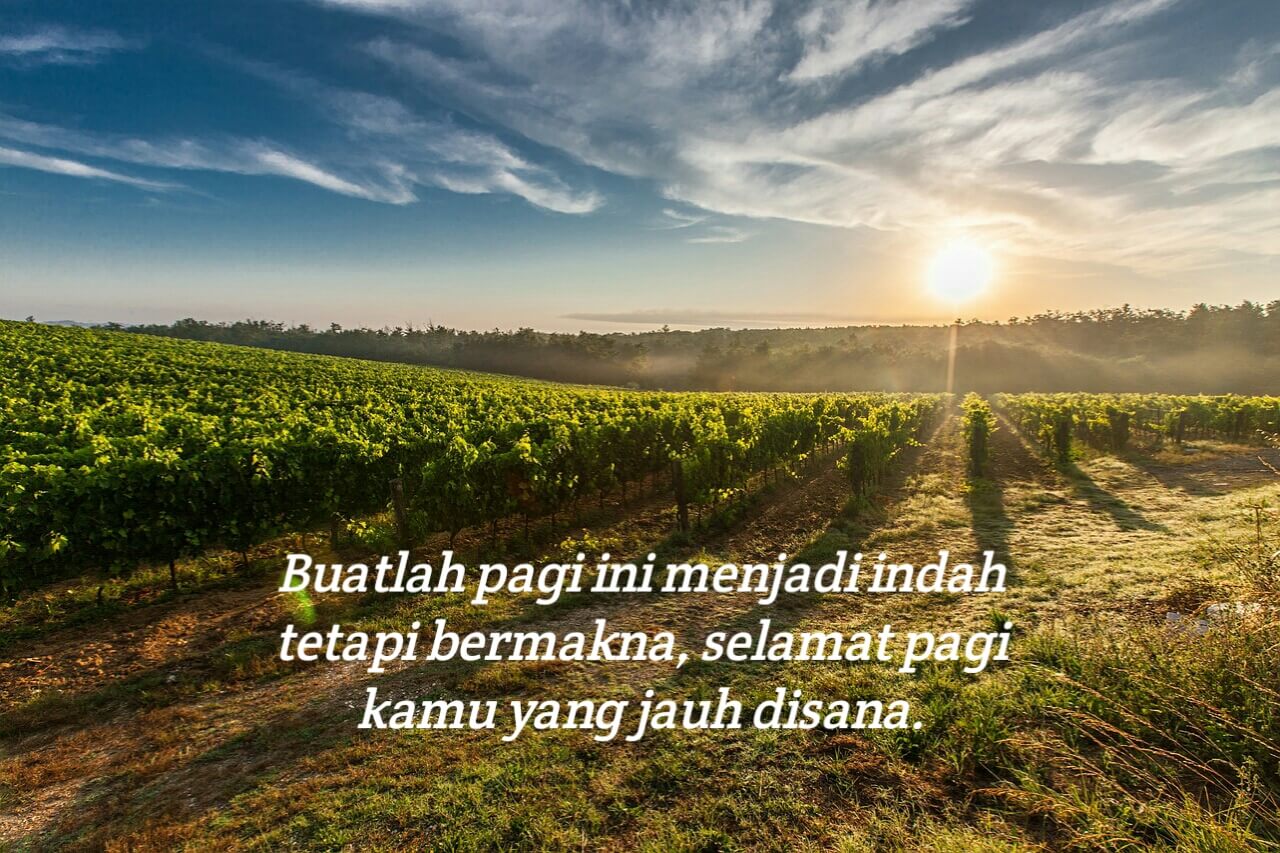 Detail Gambar Kata Kata Semangat Pagi Nomer 54