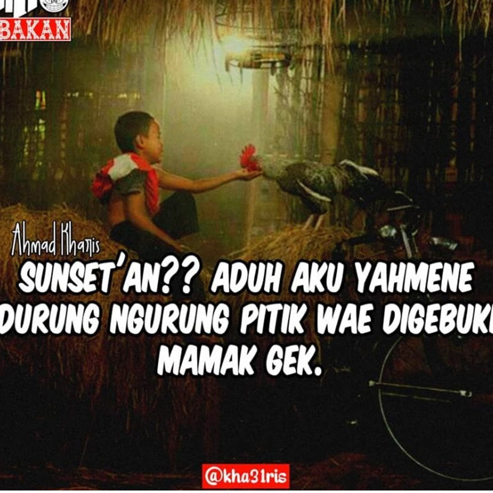 Detail Gambar Kata2 Lucu Bahasa Jawa Nomer 47