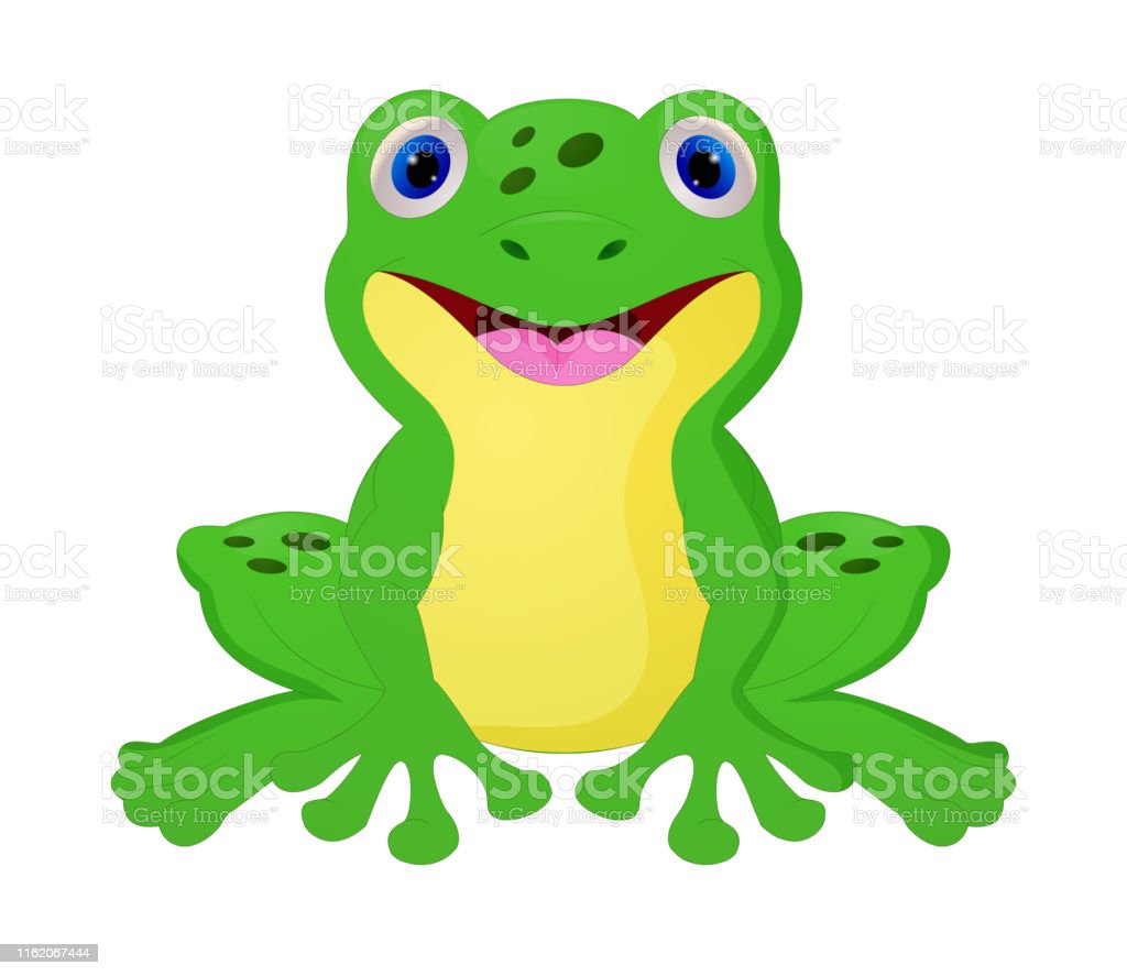 Detail Gambar Katak Background Putih Nomer 23