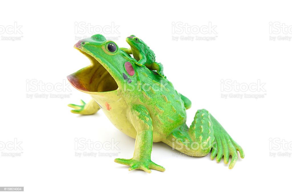 Detail Gambar Katak Background Putih Nomer 29