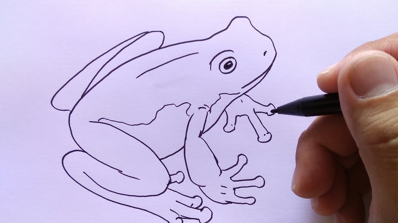 Detail Gambar Katak Dewasa Nomer 21