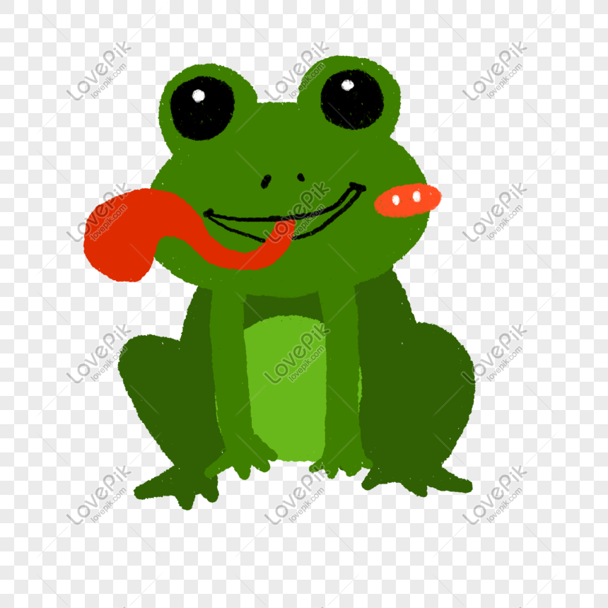 Detail Gambar Katak Png Nomer 38