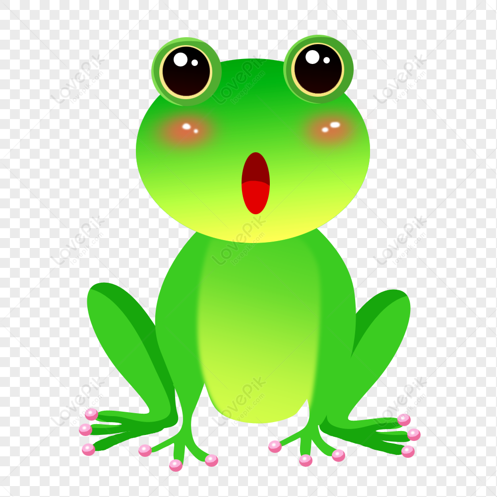 Detail Gambar Katak Png Nomer 39