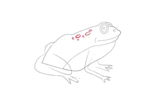 Detail Gambar Katak Sketsa Nomer 32