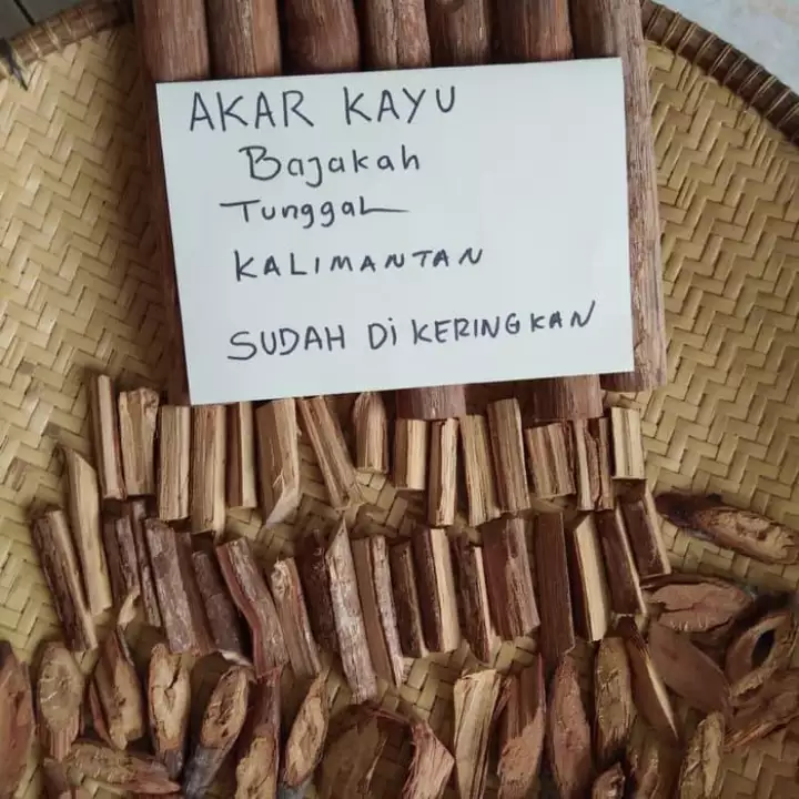 Detail Gambar Kayu Bajakah Nomer 27