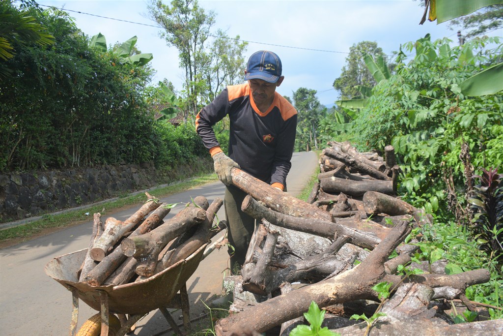 Detail Gambar Kayu Bakar Nomer 55