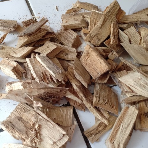 Detail Gambar Kayu Gaharu Nomer 18