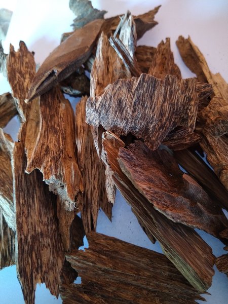 Detail Gambar Kayu Gaharu Nomer 26