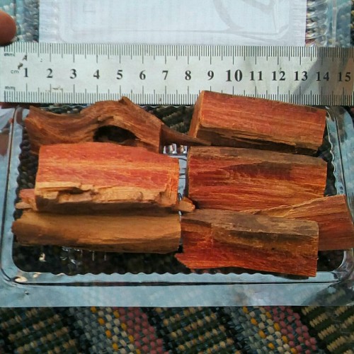 Detail Gambar Kayu Gaharu Nomer 45