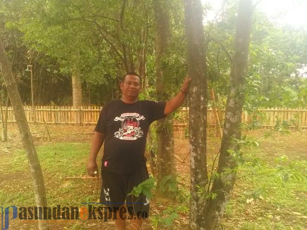 Detail Gambar Kayu Gaharu Nomer 46