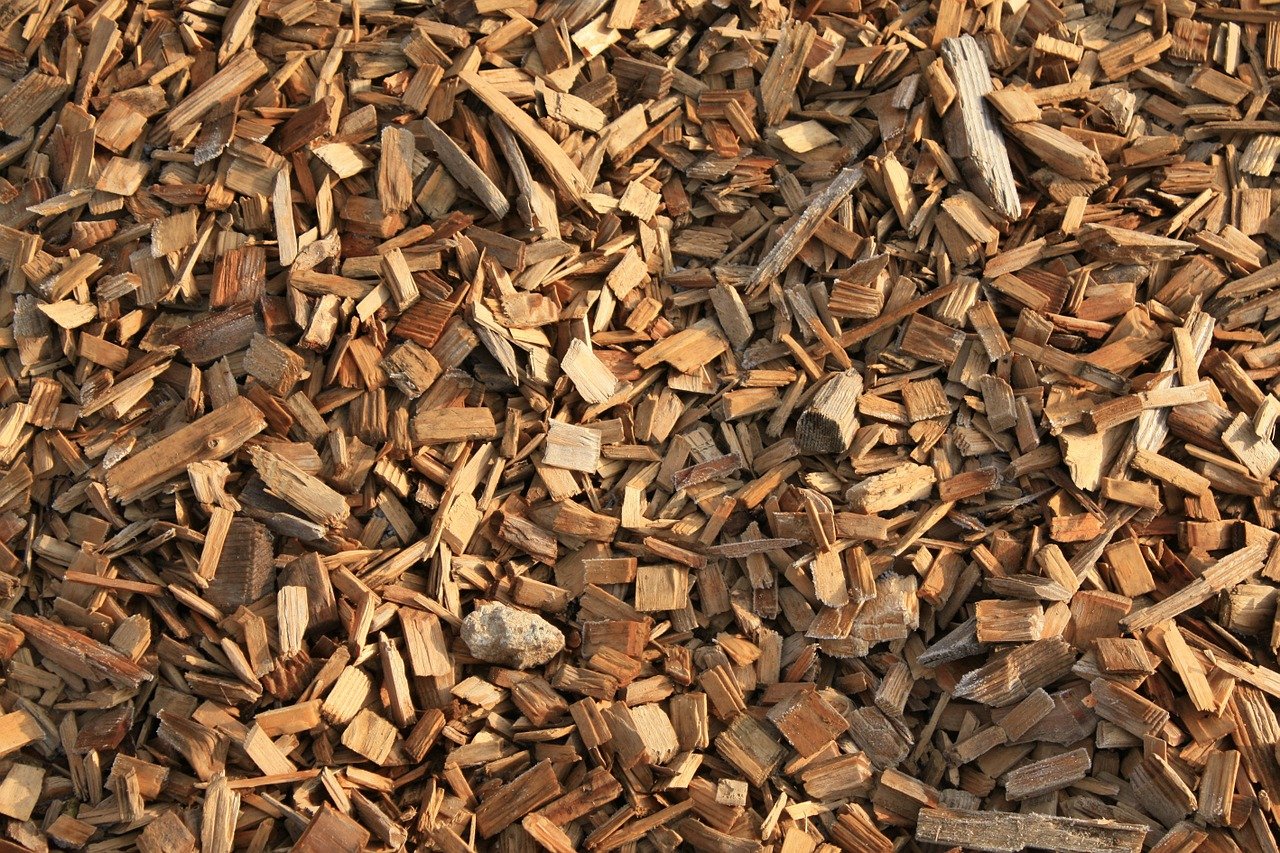 Detail Gambar Kayu Gaharu Nomer 47