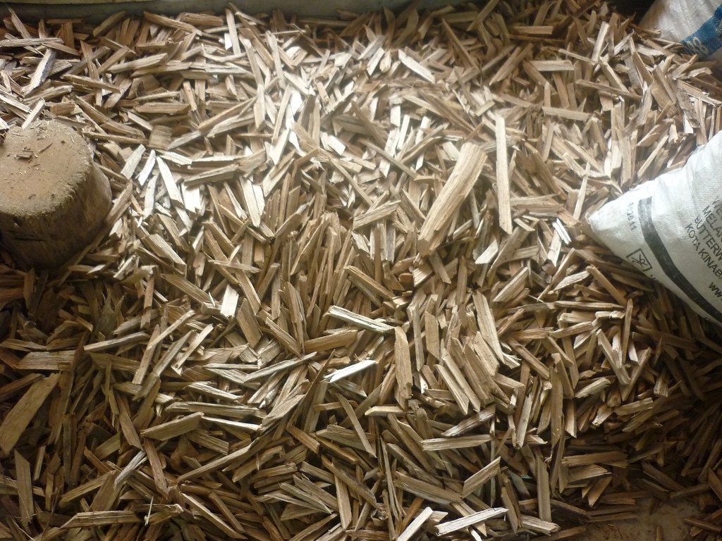 Detail Gambar Kayu Gaharu Nomer 50