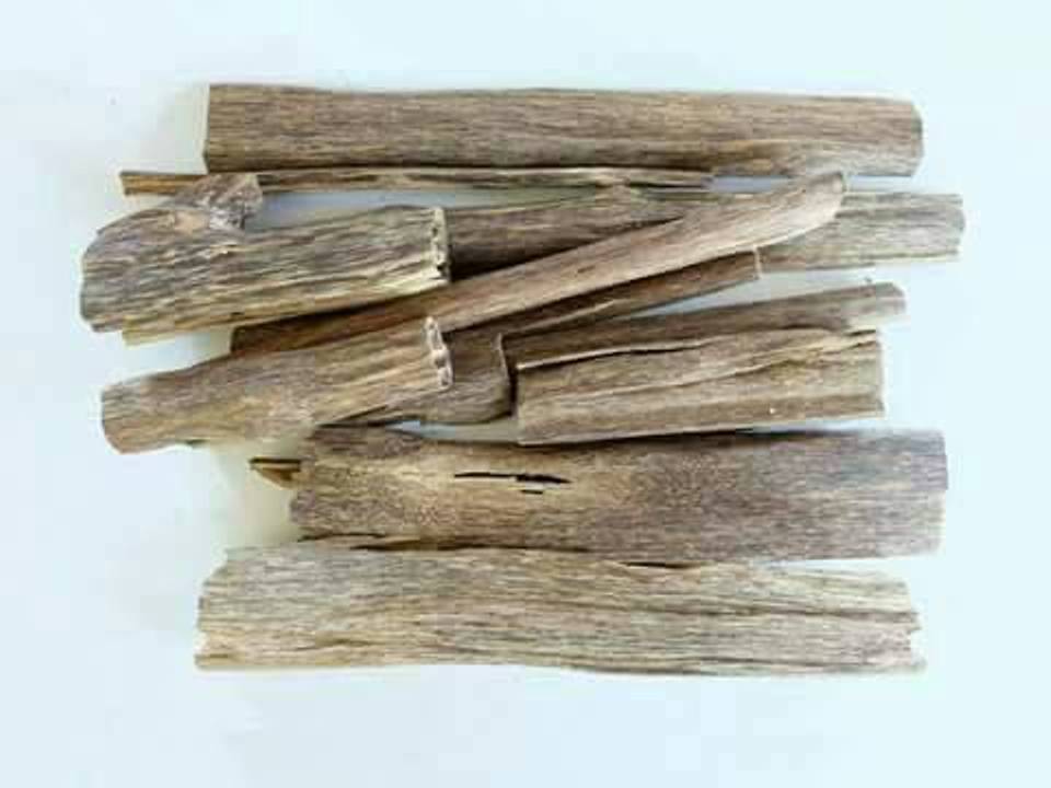 Detail Gambar Kayu Gaharu Nomer 53