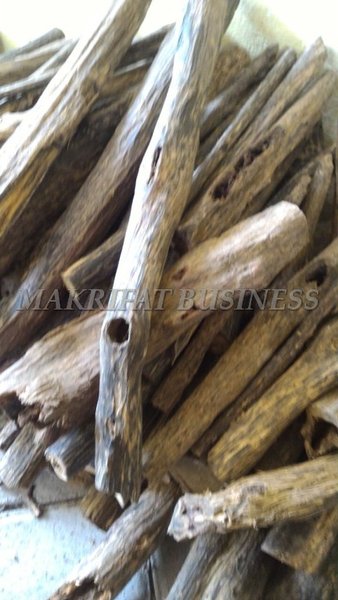 Detail Gambar Kayu Gaharu Nomer 54