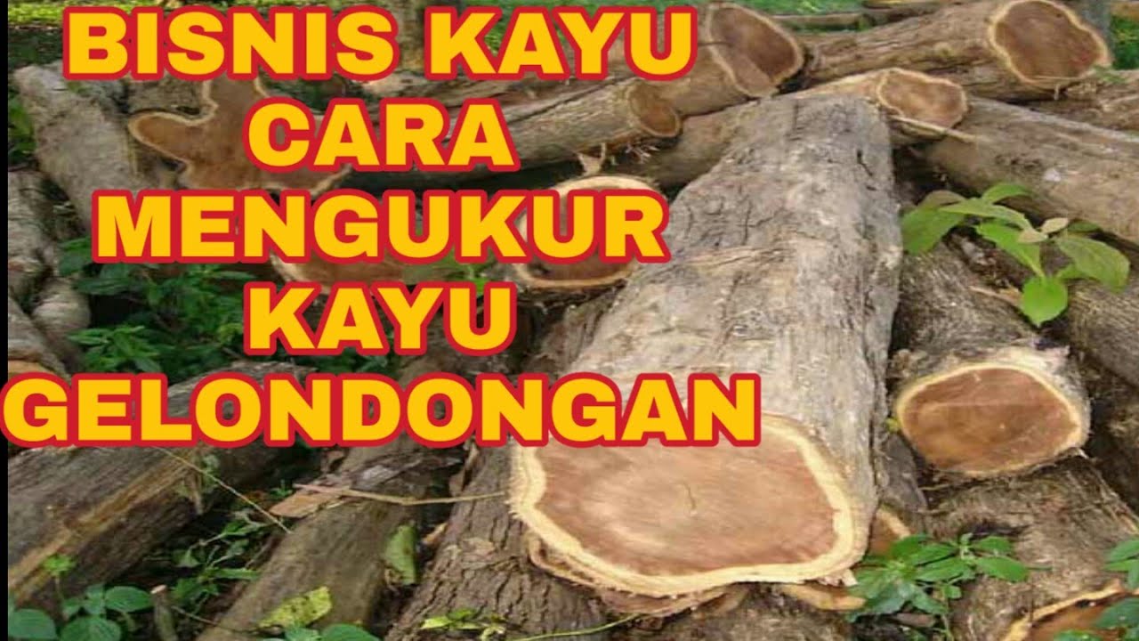 Detail Gambar Kayu Gelondongan Nomer 51