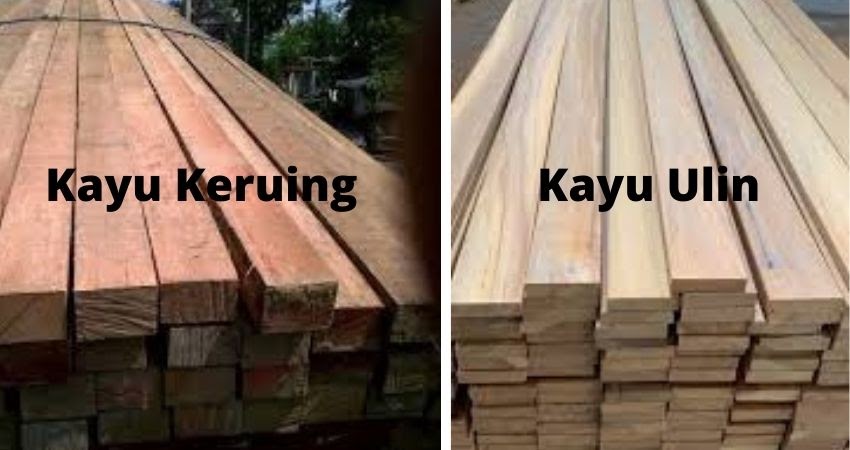 Detail Gambar Kayu Kruing Nomer 3