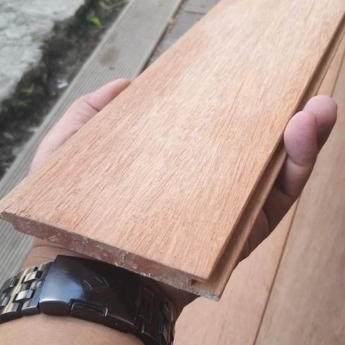 Detail Gambar Kayu Kruing Nomer 35