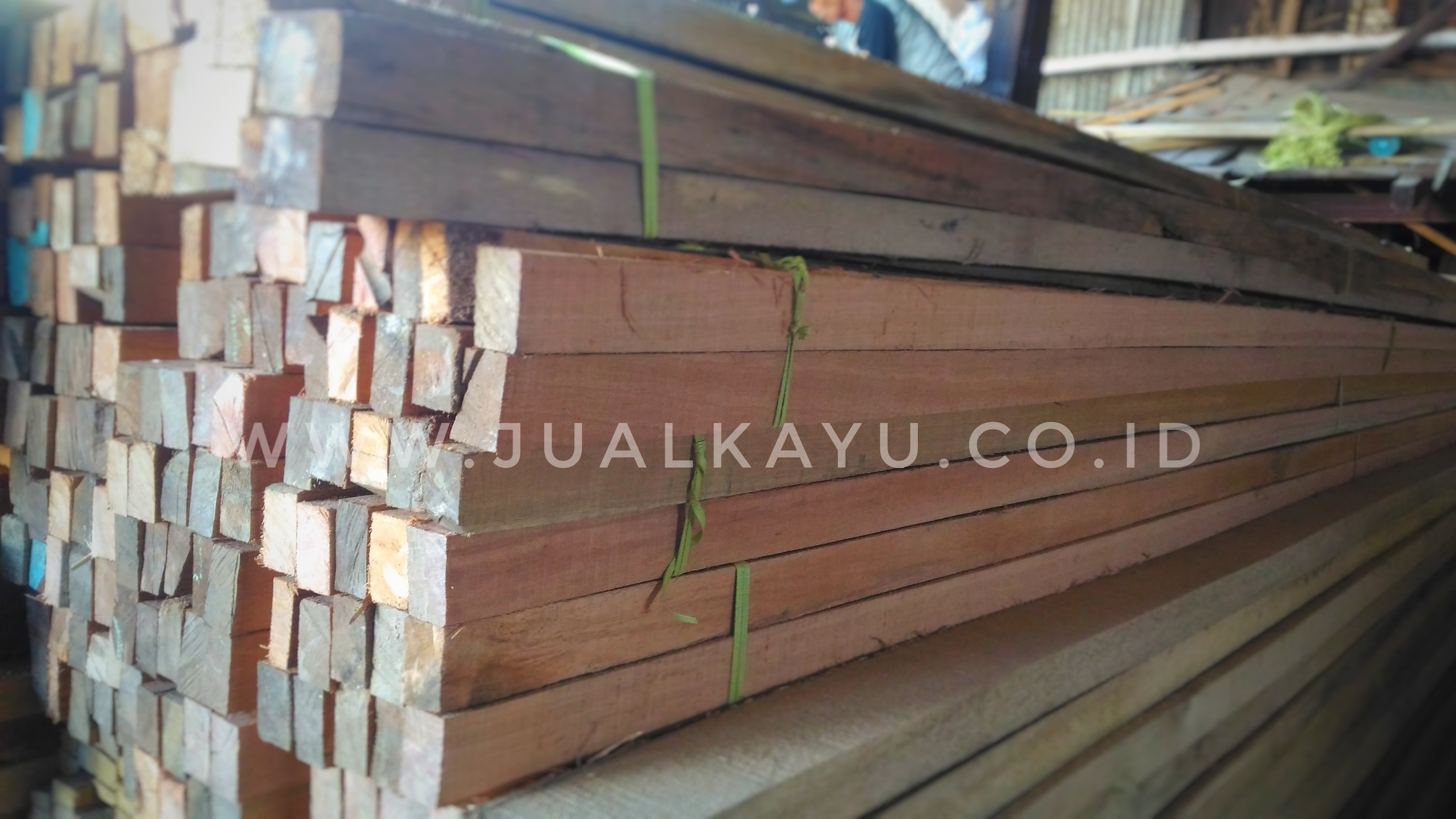 Detail Gambar Kayu Kruing Nomer 9