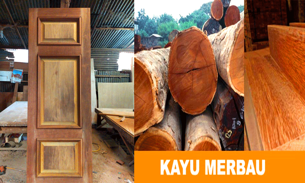 Detail Gambar Kayu Merbau Nomer 17