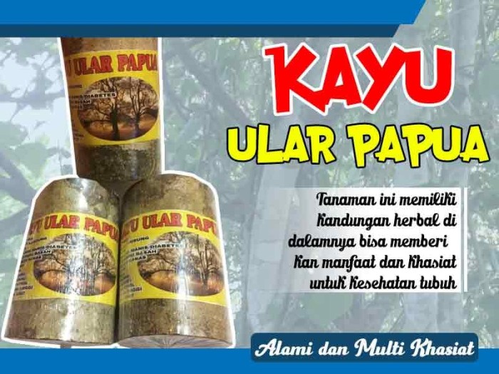 Detail Gambar Kayu Ular Nomer 24