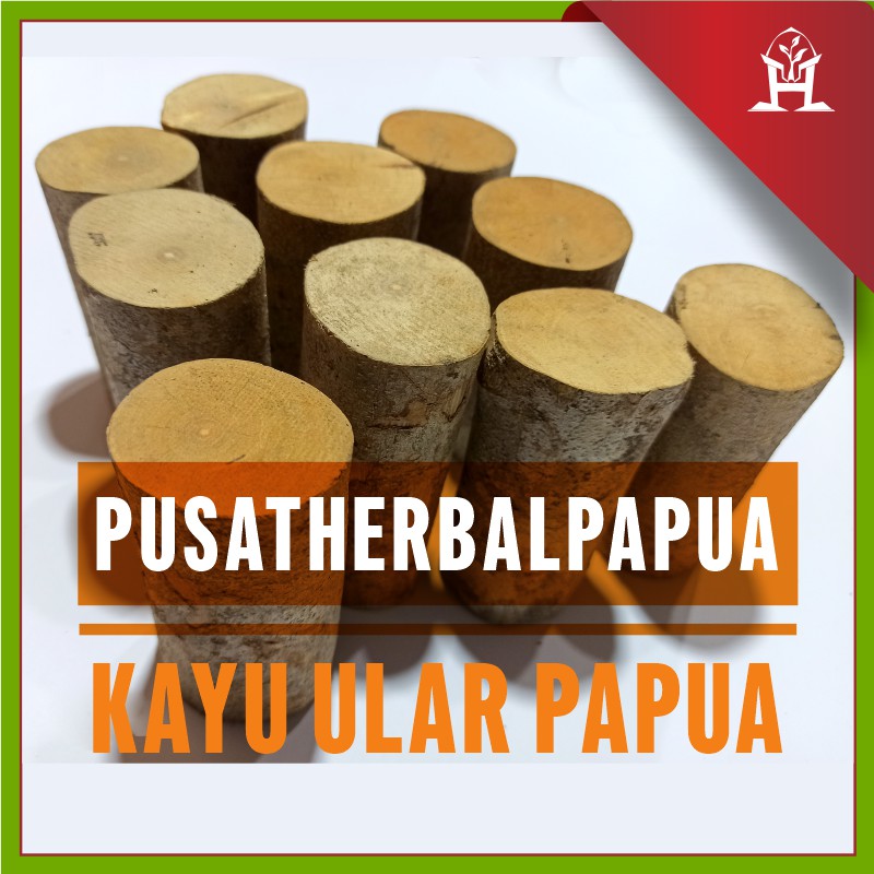 Detail Gambar Kayu Ular Nomer 41