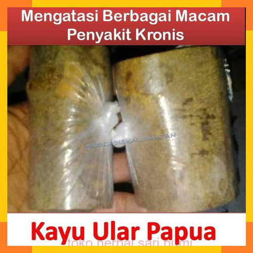 Detail Gambar Kayu Ular Nomer 42