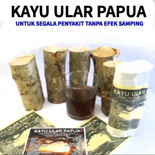 Detail Gambar Kayu Ular Papua Nomer 29