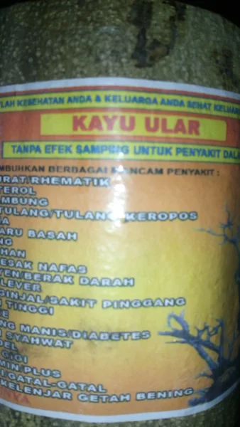 Detail Gambar Kayu Ular Papua Nomer 32